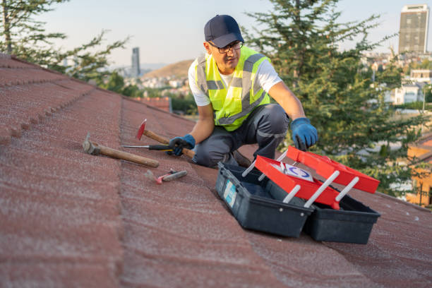 Best Custom Trim and Detailing for Siding  in Auberry, CA