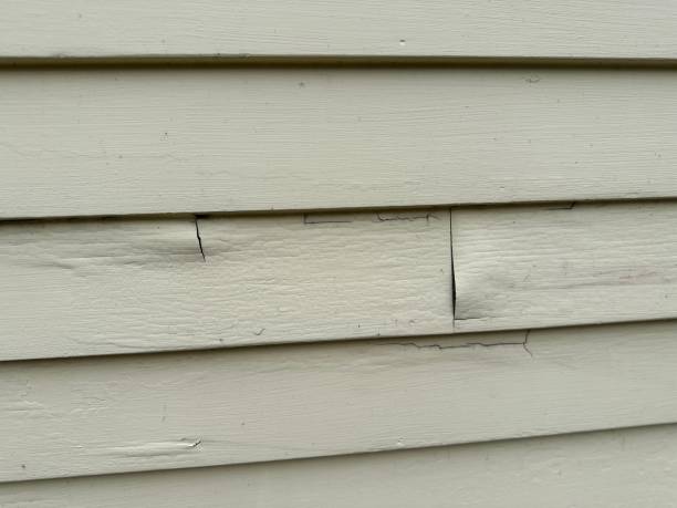 Best Siding for Commercial Buildings  in Auberry, CA